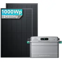 SolarMars SolarFlow 800 Plus+ 2x500W Bifaziale - 1000Wp ‚Äì 2 Module / Ohne HAL