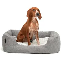 Lionto Kuschelbett für Hunde, gemütliches Hundebett mit herausnehmbarem Wendekissen, rutschfestem Boden, 80x60 cm, grau