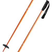 Black Crows Meta 25/26 Poles Alpinski