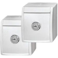 Busch-Jaeger Steckdose aufputz 20/20 EWSL-54
