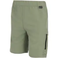Regatta Sorcer Iii Kurze Hose