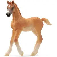 Schleich Araber Fohlen