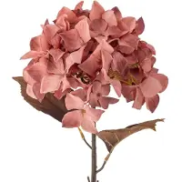 Bloomingville Hydrangea