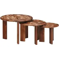 vidaXL Nesting-Couchtische 3 stk. Mehrfarbig Ø 54 x 40 cm