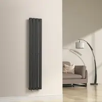 Neu.haus Flachheizkörper 'Nore' Schwarz 160x30cm Einlagig 540W