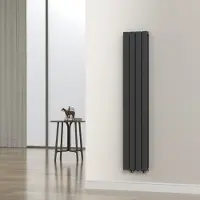 Neu.haus Flachheizkörper 'Nore' Schwarz 160x30cm Doppellagig 1006W