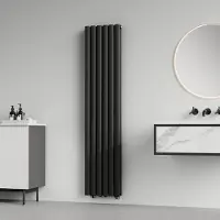 Neu.haus Röhrenheizkörper 'Nore' Schwarz 160x36cm Doppellagig 1198W