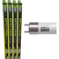 Exo Terra Reptile UVB 100 T5, Leistung: 8 Watt