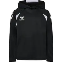 Hummel Hoodie Kinder Core 2.0