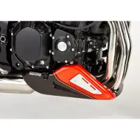 Bodystyle Bugspoiler Sportsline Z 900 RS 18- COVERT GRUEN