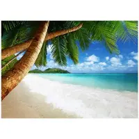 WALLARENA FOTOTAPETE Strand Meer 350x250