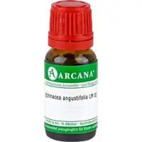 Arcana Echinacea Angustifolia Lm 11 10 ML