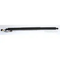 TRISCAN Gasfeder, Koffer-/Laderaum 8710 29324