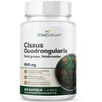 VitaSanum - Cissus Quadrangularis (Veldtraube) 500 mg 100 St Kapseln