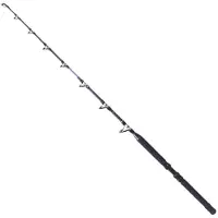 Shimano Fishing Tld B Stand Up Trollingrute Silber 1.65 m / 80 Lbs Silber 1.65 m
