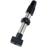 Dt Swiss Road Presta Ventile Silber 32 mm Silber 32 mm