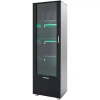 OKWISH Vitrine mit Acryl Türen LED Beleuchtung Wohnzimmer 40x50x160cm Schwarz