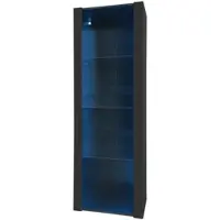 OKWISH Vitrine mit LED Beleuchtung Glasböden Wohnzimmer 55x38x166cm Schwarz