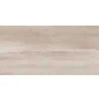 Swiss Aqua Technologies Wandfliesen Bodenfliese 30x60CM 1,44M2 Graubraun Glanz für Innenbereich