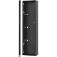 OKWISH Vitrine mit Glasböden LED-Beleuchtung Wohnzimmer 40x29x170cm Schwarz