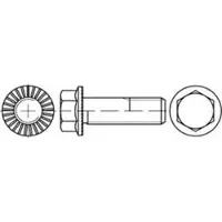 Industrial Quality Supplies Sechskantflanschschraube R 88913 Sperr-Ripp VG M 10 x 35 100 galvanisch verzinkt