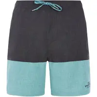 Protest Badeshorts Prtfreddie Herren Arctic Green-S