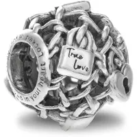 Pandora Modell 790071C00
