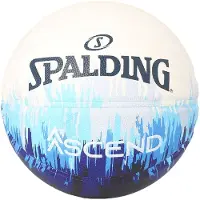 Spalding Basketball Ascend Blues