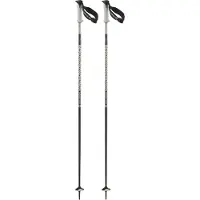 Salomon Polar Pro S3 Stöcke