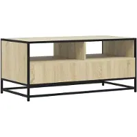 vidaXL Couchtisch Sonoma-Eiche 100x50x45 cm Holzwerkstoff und Metall