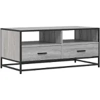 vidaXL Couchtisch Grau Sonoma 100x50x45 cm Holzwerkstoff und Metall