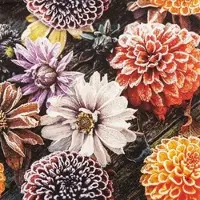 Home Fashion , Frosted Dahlia, Lunch-Servietten aufgefaltetes Maß 33 cm x 33 cm, im Viertelfalz, 20 Stück pro Pack, 12 Pack pro Karton