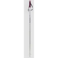 Völkl Phantastick Frau Pole