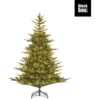 Edelman Black Box Trees LED Weihnachtsbaum Grimshaw 370 LED warmweiß 215 cm grün