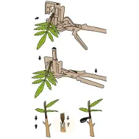 Stocker Top-pfropfmaschine