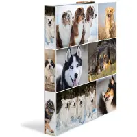Herma Ringbuch A4 Motiv
