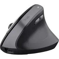 Trust TM-270, Rechts, Vertikale Ausführung, Optisch, RF Wireless, 2400 DPI, Schwarz