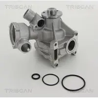 TRISCAN Wasserpumpe 8600 23981