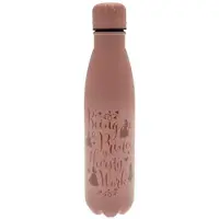 Pyramid Disney Princess Metal 550ml Flasche