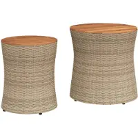 vidaXL Garten-Beistelltische 2 Stk. mit Holzplatte Beige Poly Rattan