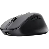 Trust Zevo, rechts, Optisch, RF Wireless + Bluetooth, 4000 DPI, Schwarz