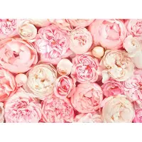 Living Walls Fototapete "Designwalls Roses" glatt Vlies, Wand, Schräge, Decke