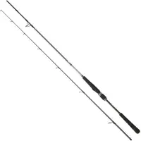 Daiwa Saltist Seabass Spinnrute