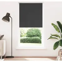 vidaXL Verdunkelungsrollo Schwarz 110x210 cm Stoffbreite 105,7 cm