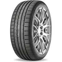 Gripmax Sommerreifen motorcycle-tyres SureGrip Pro Sport ( 255/35 R19 96Y XL )