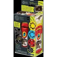 Invento Brainstorm: Taschenlampenprojektor - Diashow Dinosaurier