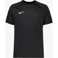 Nike Herren Trikot M NK DF PARK VIII JSY SS