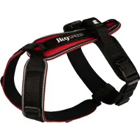JULIUS K-9 Speed Geschirr rot, Größe: M