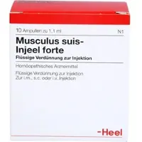 Heel Musculus Suis Inj Fo Org 10 ST