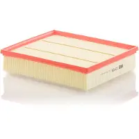 Mann Luftfilter c29036 Filtereinsatz 70mm für MAN VAG